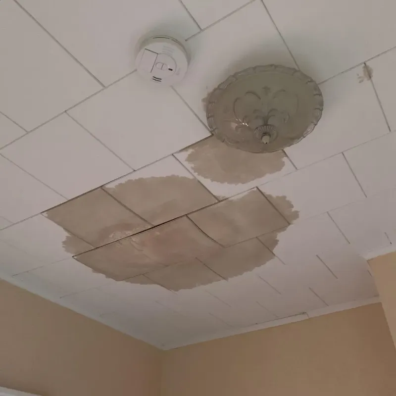 Ceiling Water Damage Repair in Oak Grove, TN