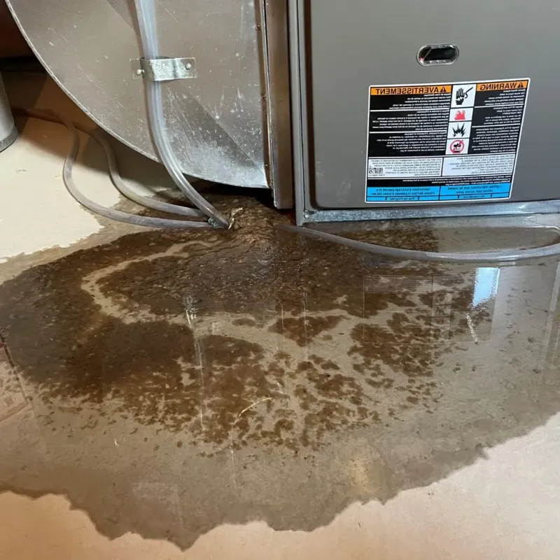Pipe Burst and Leak Restoration in Oak Grove, TN