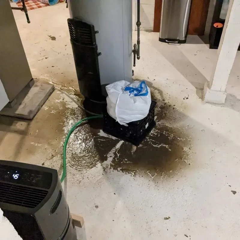 Sewage Backup Cleanup Service in Oak Grove, TN